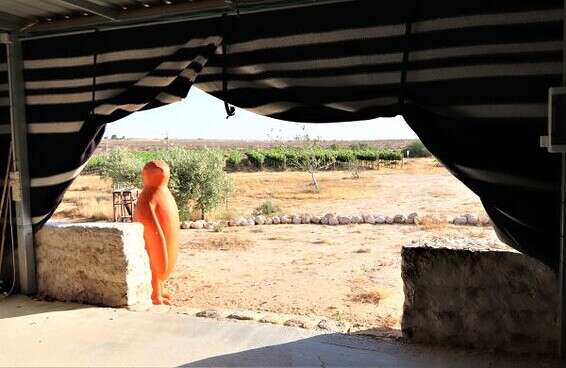 כרם רוטה // צילום: סרגי קרבניקוב